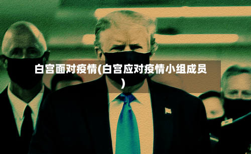 白宫面对疫情(白宫应对疫情小组成员)