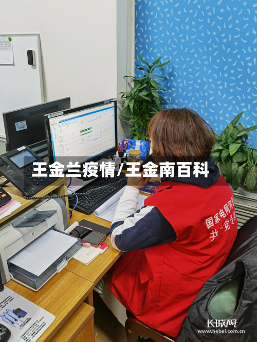 王金兰疫情/王金南百科