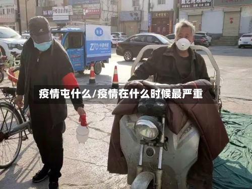 疫情屯什么/疫情在什么时候最严重