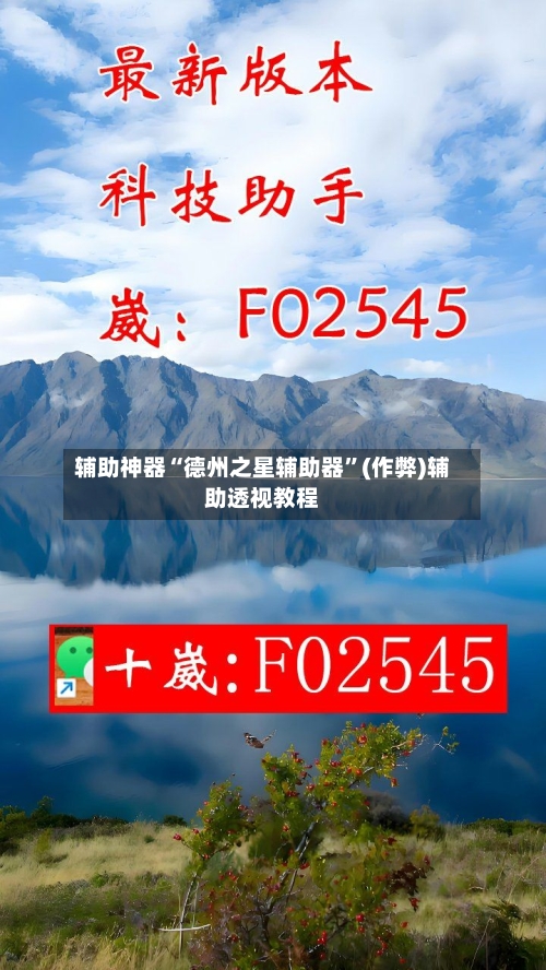 辅助神器“德州之星辅助器	”(作弊)辅助透视教程-第2张图片