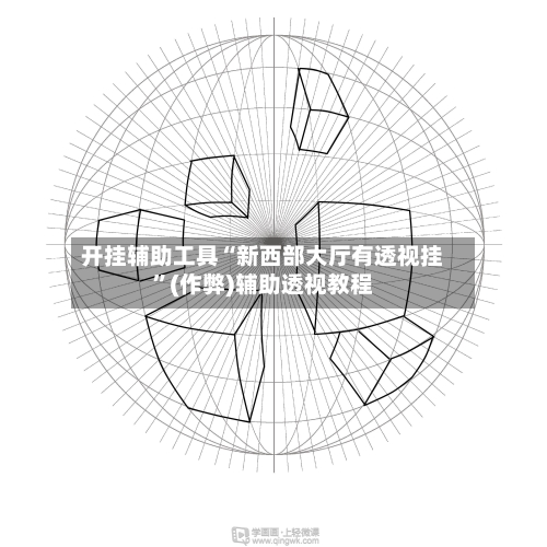 开挂辅助工具“新西部大厅有透视挂”(作弊)辅助透视教程