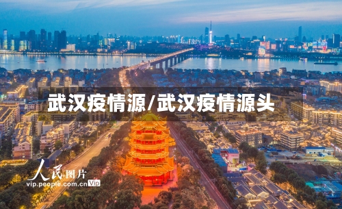 武汉疫情源/武汉疫情源头