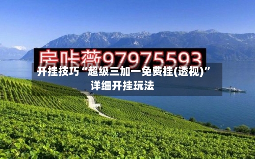 开挂技巧“超级三加一免费挂(透视)”详细开挂玩法