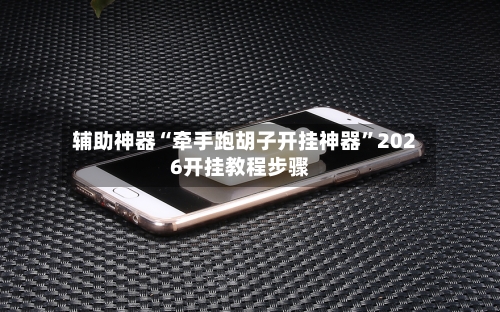 辅助神器“牵手跑胡子开挂神器”2026开挂教程步骤-第1张图片