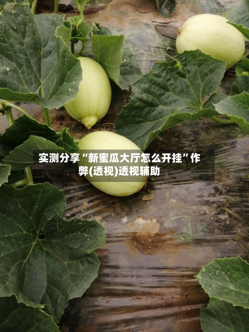 实测分享“新蜜瓜大厅怎么开挂”作弊(透视)透视辅助
