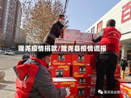 隆尧疫情捐款/隆尧县疫情谎报