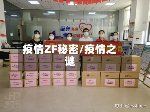 疫情ZF秘密/疫情之谜-第1张图片