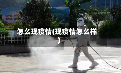 怎么现疫情(现疫情怎么样)