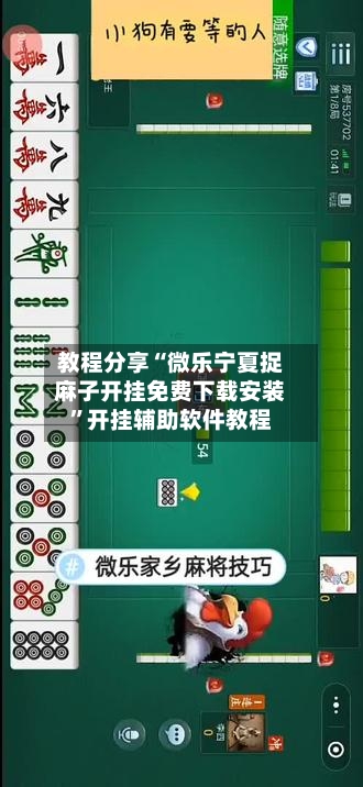 教程分享“微乐宁夏捉麻子开挂免费下载安装”开挂辅助软件教程