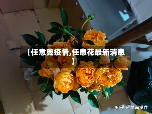 【任意鑫疫情,任意花最新消息】