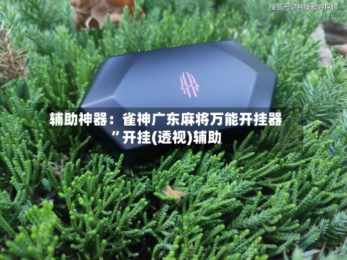 辅助神器：雀神广东麻将万能开挂器”开挂(透视)辅助