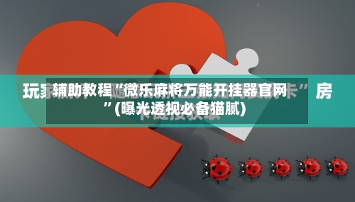 辅助教程“微乐麻将万能开挂器官网”(曝光透视必备猫腻)