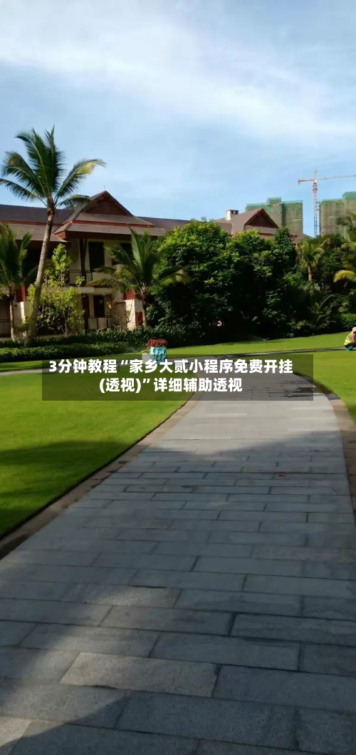 3分钟教程“家乡大贰小程序免费开挂(透视)”详细辅助透视