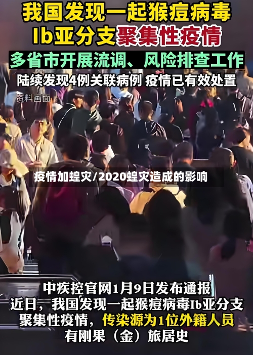 疫情加蝗灾/2020蝗灾造成的影响-第1张图片