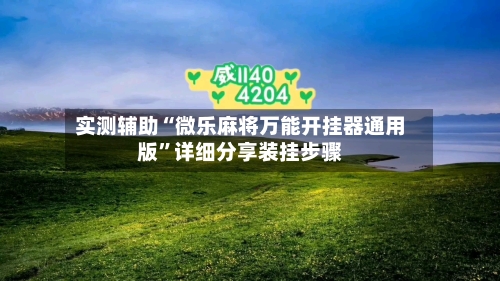 实测辅助“微乐麻将万能开挂器通用版”详细分享装挂步骤-第3张图片