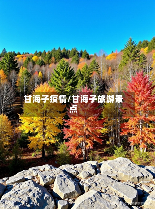 甘海子疫情/甘海子旅游景点