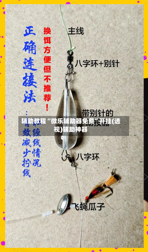 辅助教程“微乐辅助器免费”开挂(透视)辅助神器-第2张图片