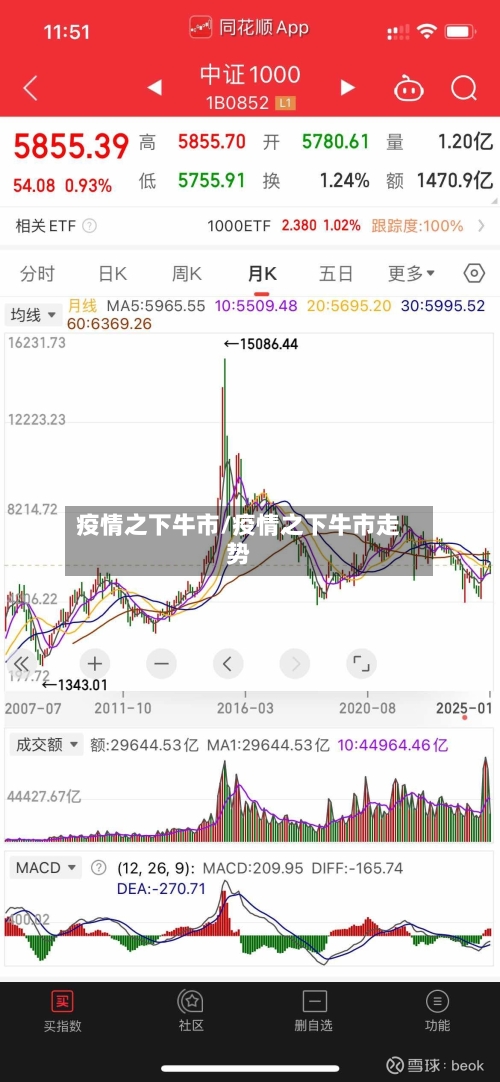 疫情之下牛市/疫情之下牛市走势