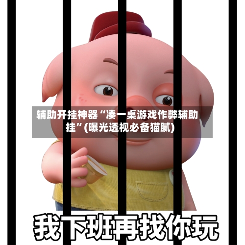 辅助开挂神器“凑一桌游戏作弊辅助挂”(曝光透视必备猫腻)