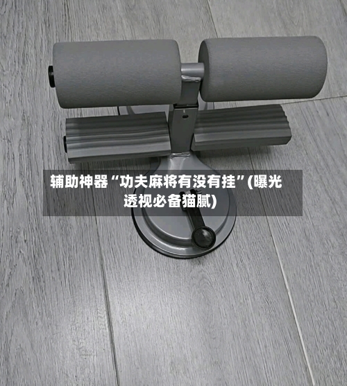 辅助神器“功夫麻将有没有挂”(曝光透视必备猫腻)