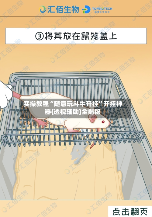 实操教程“随意玩斗牛开挂”开挂神器{透视辅助}全揭秘