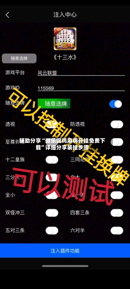 辅助分享“微乐捉鸡麻将开挂免费下载”详细分享装挂步骤-第1张图片