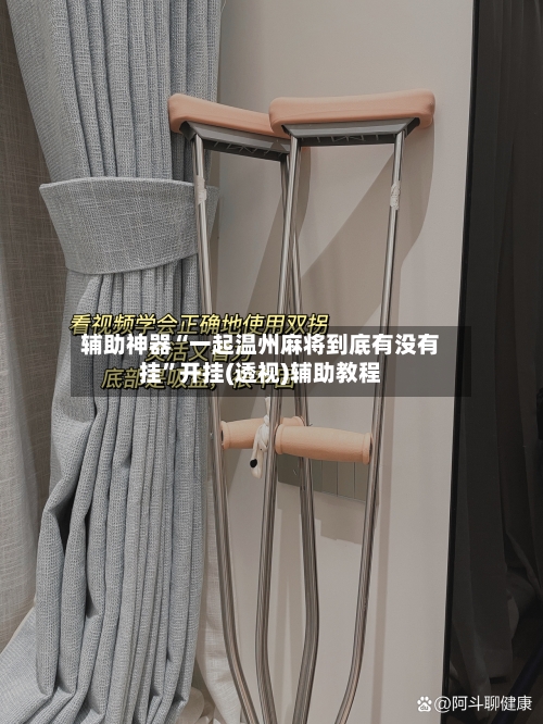 辅助神器“一起温州麻将到底有没有挂”开挂(透视)辅助教程-第1张图片