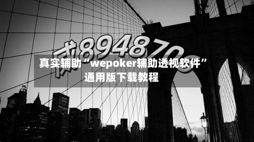 真实辅助“wepoker辅助透视软件”通用版下载教程