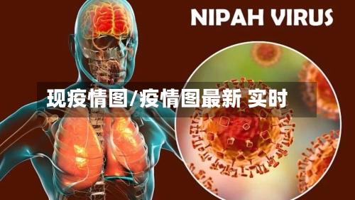 现疫情图/疫情图最新 实时