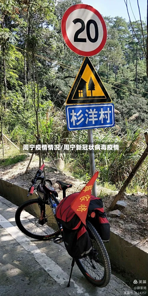 周宁疫情情况/周宁新冠状病毒疫情-第1张图片