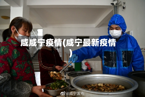 咸咸宁疫情(咸宁最新疫情)