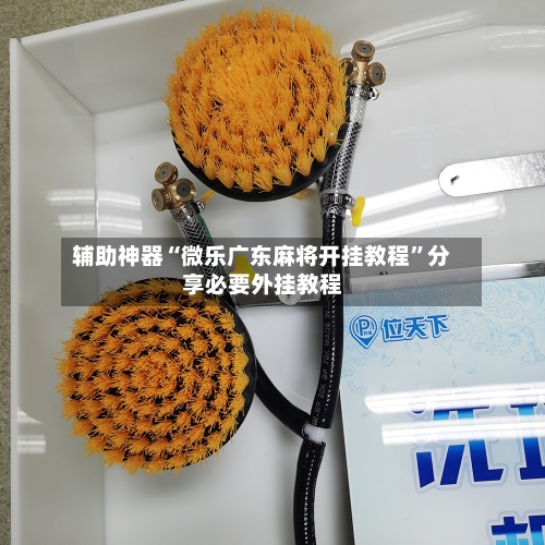 辅助神器“微乐广东麻将开挂教程”分享必要外挂教程-第1张图片