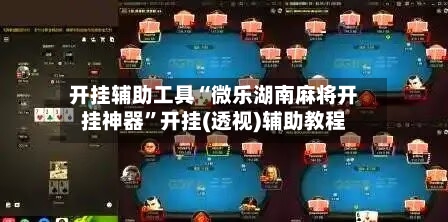 开挂辅助工具“微乐湖南麻将开挂神器	”开挂(透视)辅助教程-第3张图片