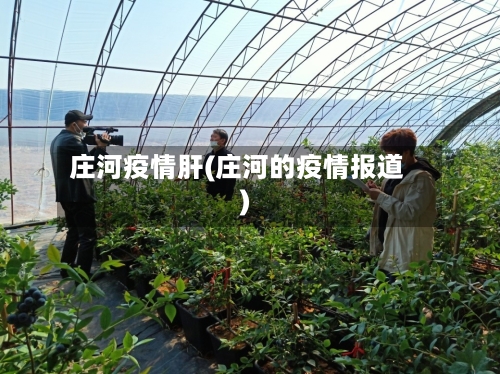 庄河疫情肝(庄河的疫情报道)