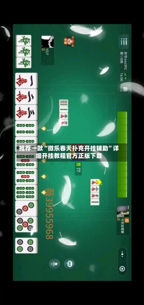 推荐一款“微乐春天扑克开挂辅助”详细开挂教程官方正版下载-第2张图片