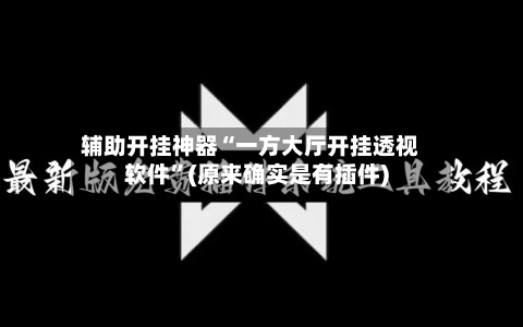 辅助开挂神器“一方大厅开挂透视软件”(原来确实是有插件)