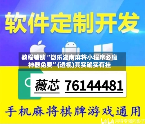 教程辅助“微乐湖南麻将小程序必赢神器免费”(透视)其实确实有挂-第1张图片