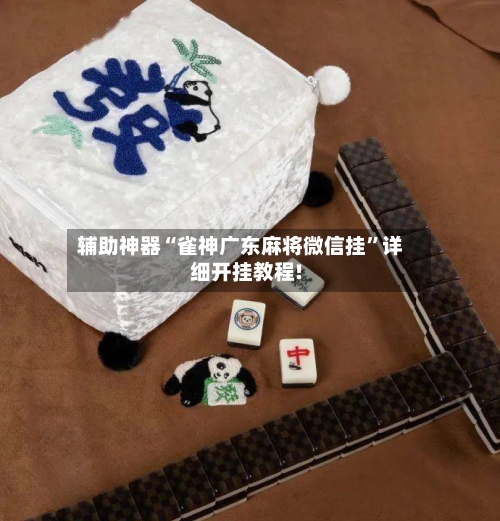 辅助神器“雀神广东麻将微信挂”详细开挂教程!-第1张图片