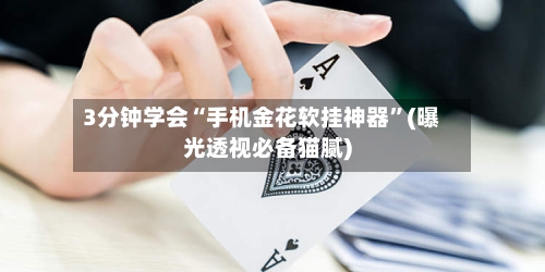 3分钟学会“手机金花软挂神器”(曝光透视必备猫腻)