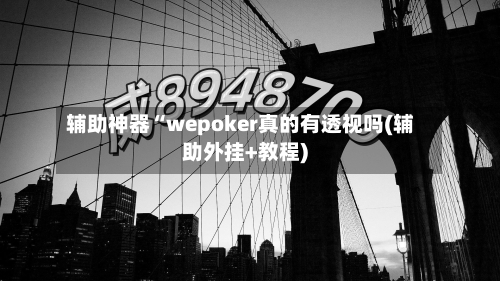 辅助神器“wepoker真的有透视吗(辅助外挂+教程)