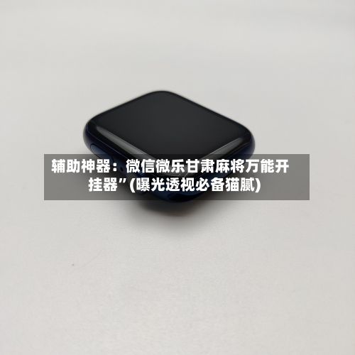 辅助神器：微信微乐甘肃麻将万能开挂器”(曝光透视必备猫腻)-第2张图片