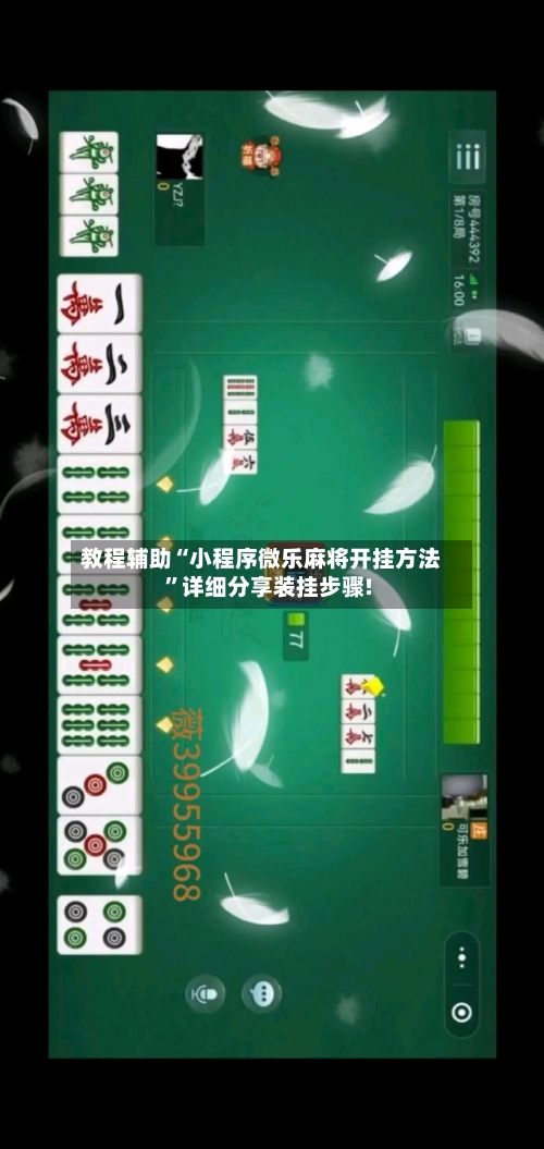 教程辅助“小程序微乐麻将开挂方法”详细分享装挂步骤!-第2张图片