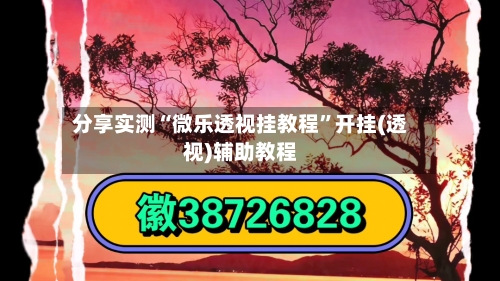 分享实测“微乐透视挂教程	”开挂(透视)辅助教程-第2张图片