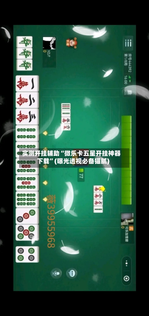 实测开挂辅助“微乐卡五星开挂神器下载”(曝光透视必备猫腻)-第1张图片