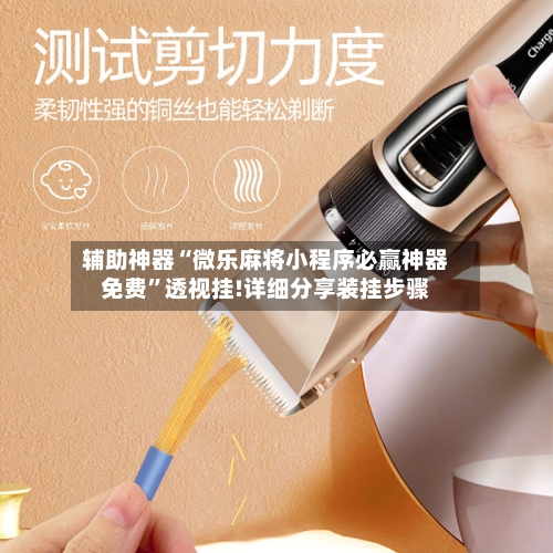 辅助神器“微乐麻将小程序必赢神器免费	”透视挂!详细分享装挂步骤-第1张图片