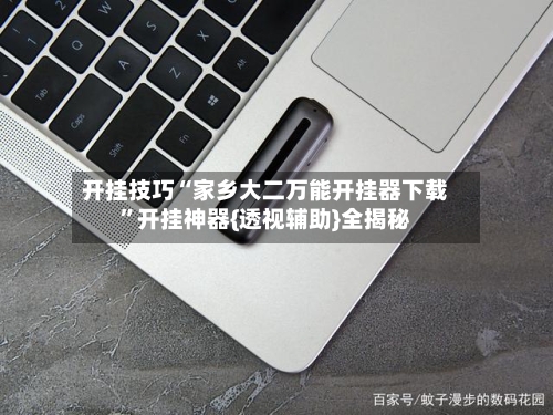开挂技巧“家乡大二万能开挂器下载	”开挂神器{透视辅助}全揭秘-第1张图片