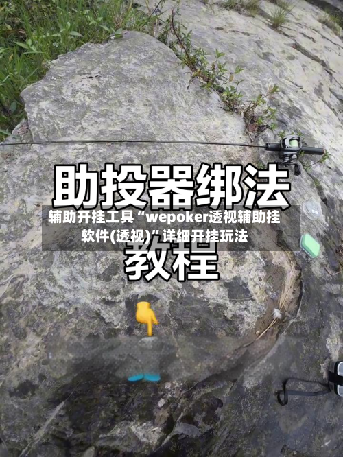辅助开挂工具“wepoker透视辅助挂软件(透视)”详细开挂玩法