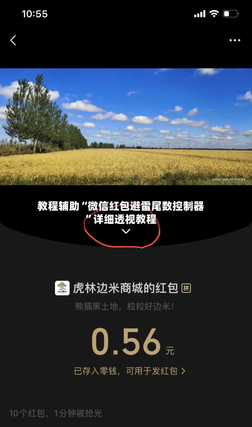 教程辅助“微信红包避雷尾数控制器”详细透视教程