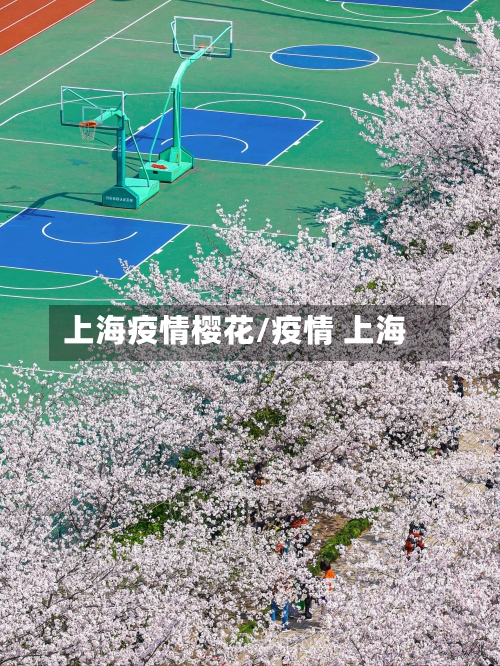 上海疫情樱花/疫情 上海-第1张图片