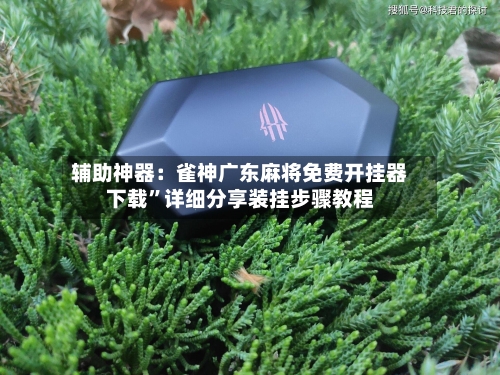 辅助神器：雀神广东麻将免费开挂器下载”详细分享装挂步骤教程